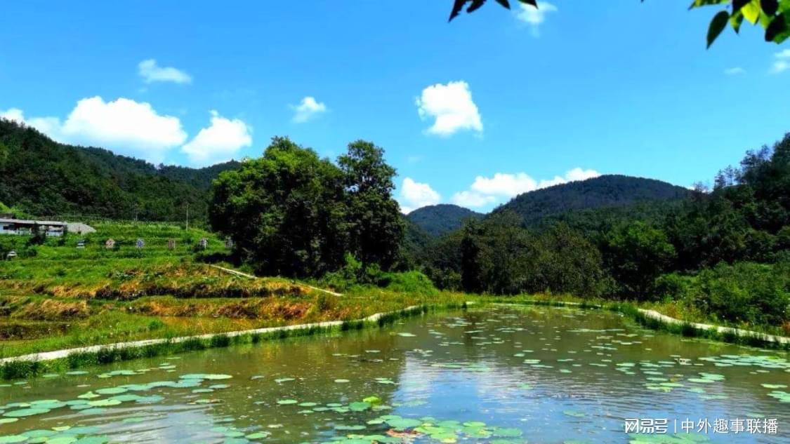 24小时业务自助下单平台诚信专业